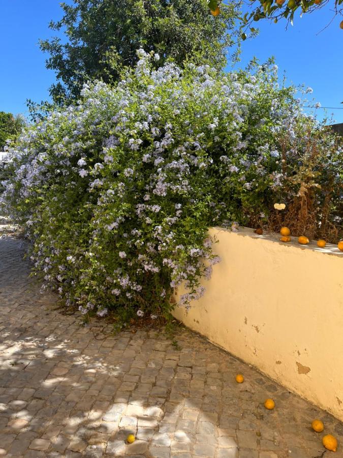 Quinta Da Layla Villa Olhão Dış mekan fotoğraf